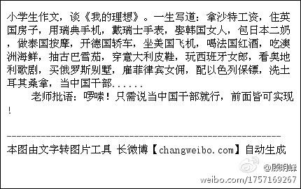 精华素_500字