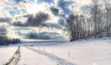 冬日畅想曲_800字