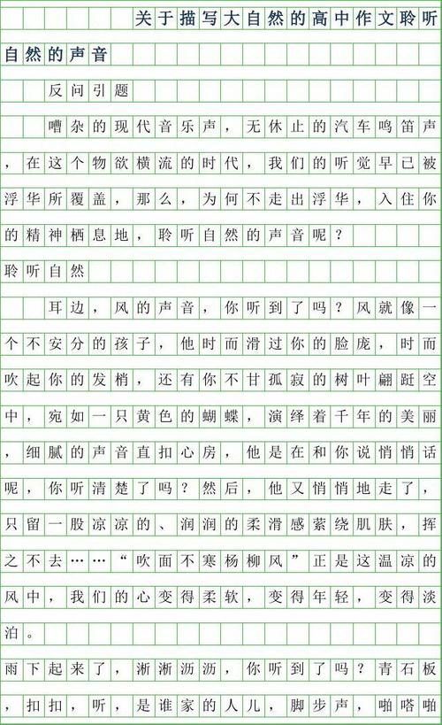新年作文：New_800字