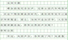 关于大年的作文：大年_800字