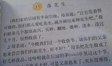 语文——吾爱_600字