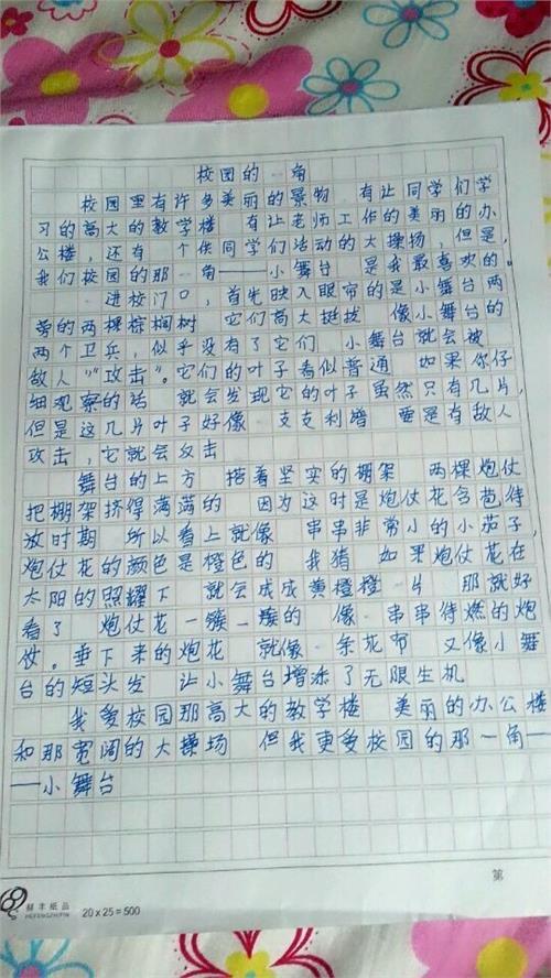 新年作文：东北新春_450字
