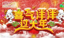 喜气洋洋过大年_600字