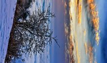 美啊，鸟语花香的大围山