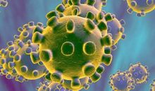 新型冠状病毒