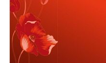 雨夜橘红色的温暖