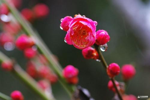 听春雨的魅力