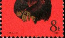 我喜欢的一张邮票