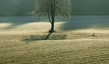 共享我们生命的美好