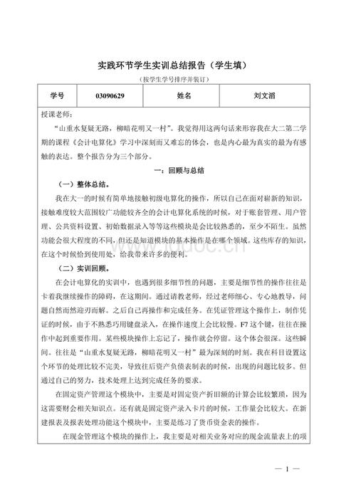 会计电算化实践经验