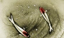 我体会到了学习的乐趣_550字