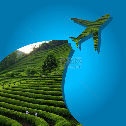 绿色之旅_700字