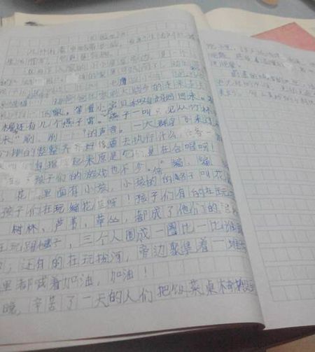 暑假英语作文：初中国家旅游第一年_550字暑假英语作文