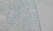 关于暑期的英语作文：初一暑假英语作文--乡村游记_550字