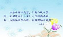 爱我桃溪，美化家园