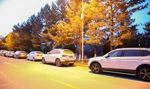 文明之花的绽放_1000字