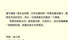 寒假征文：同历史相见，与文化相约_1200字