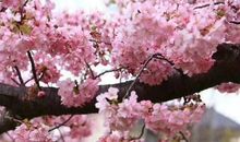 雨让生活更美好