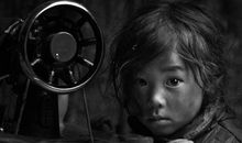 [7月渴望]我渴望自由_650字