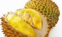 三年级描写榴莲的作文