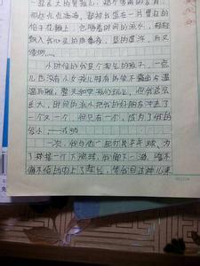 关于新年的作文：过新年_600字