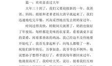 关于大年的作文：过大年_350字