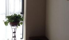 我家的小客厅_250字