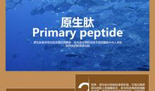 2017年湖北武汉中考满分作文：破除旧经验，认知新事物