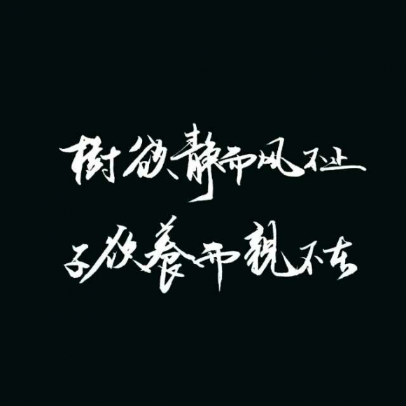 孩子想孝顺但不被亲吻_450字