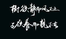 子欲孝而亲不待_450字