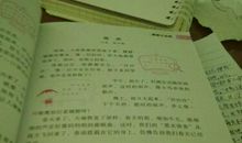 家乡变美了_500字