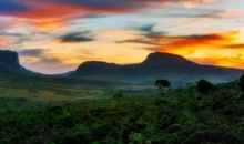 校园美景数不清