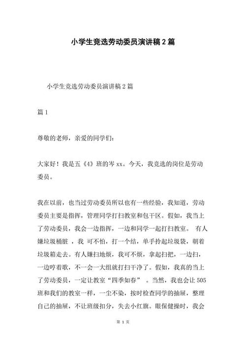 选举劳动委员会讲话
