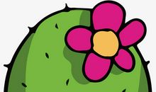 我和仙人掌的故事