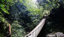 美丽的森林公园