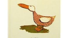 我和羽毛的故事