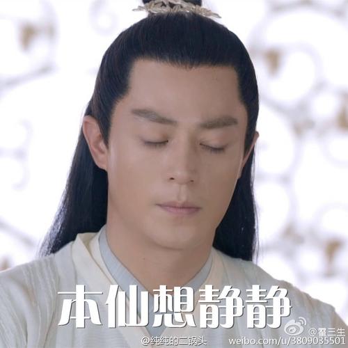 我的偶像再见
