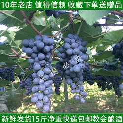 250字