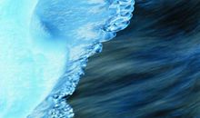 【学生征文选登9】：多撒网，才能捕到想要的鱼_900字