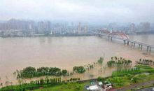 2017年四川南充中考满分作文：期待的眼神