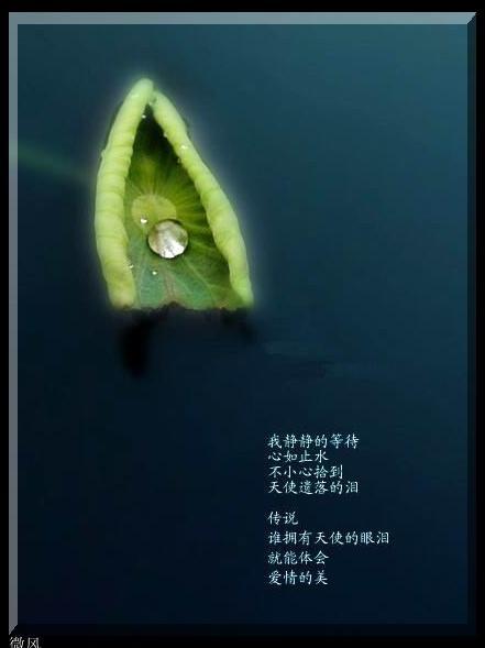 天使的眼泪_900字