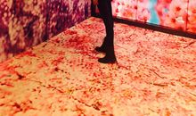 星寔婘嬿（三）_650字