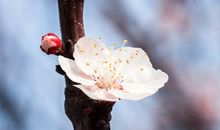 又是一年风起时