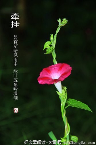 你是我最关心的人