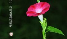 你是我最牵挂的人