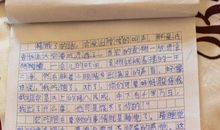 钓鱼岛的议论文_450字