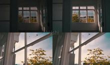 落满阳光的回忆