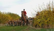 猎人海力布缩写