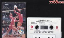 青春的太阳_400字