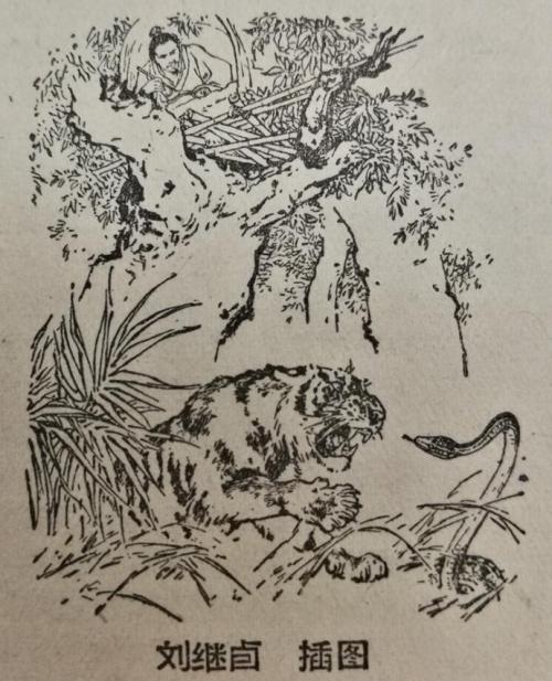 名人故事：李桂珍学画老虎_150字